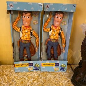 Disney parks! Talking woody!!
